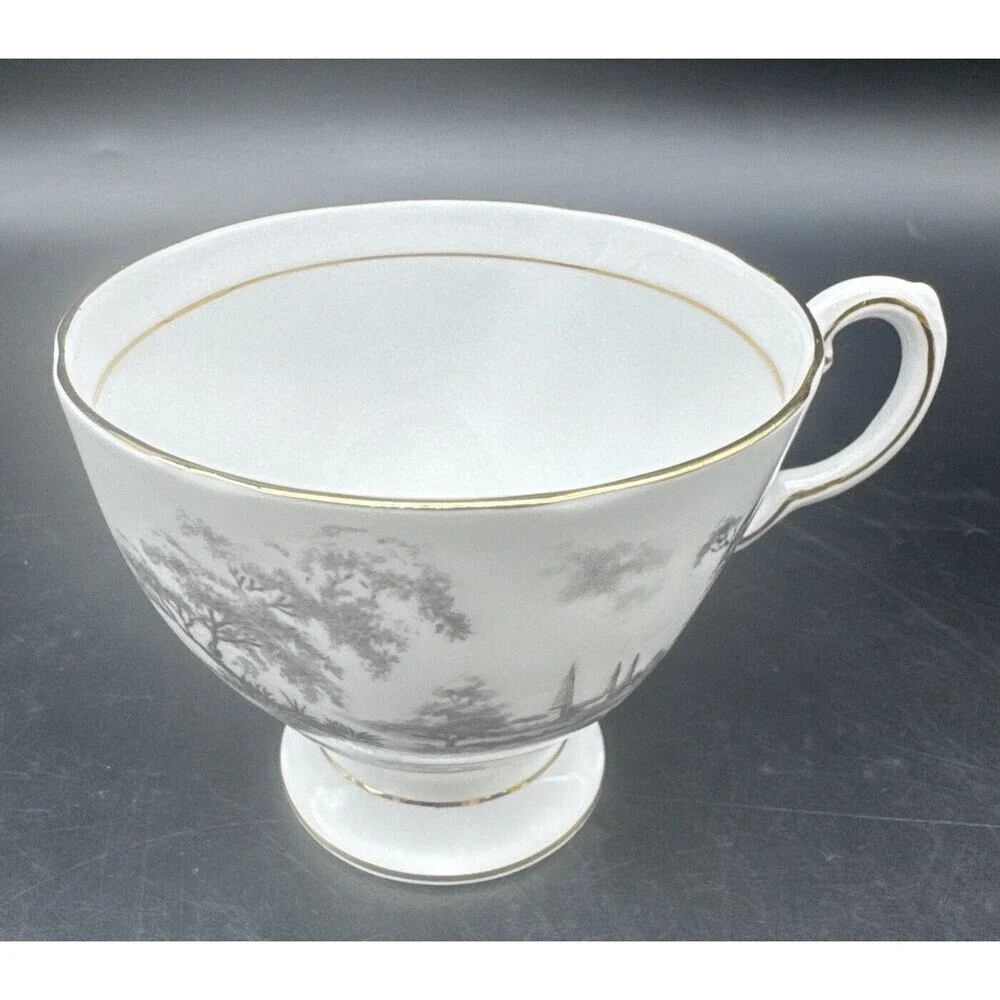 Tuscan BLACK & WHITE Countryside Fine Bone China‎ Tea Cup & Saucer England